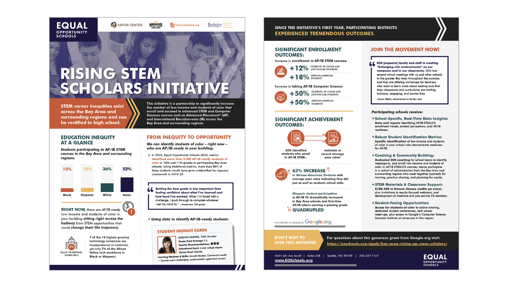 Rising STEM Scholars Initiative Flyer with Chart and Icon Creation