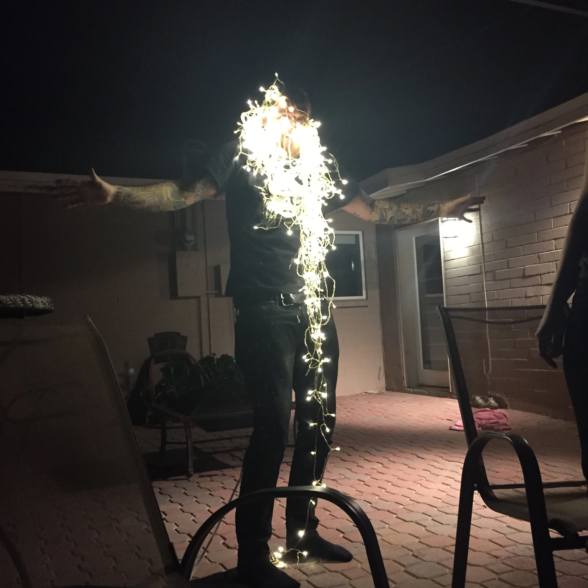 Backyard Fun