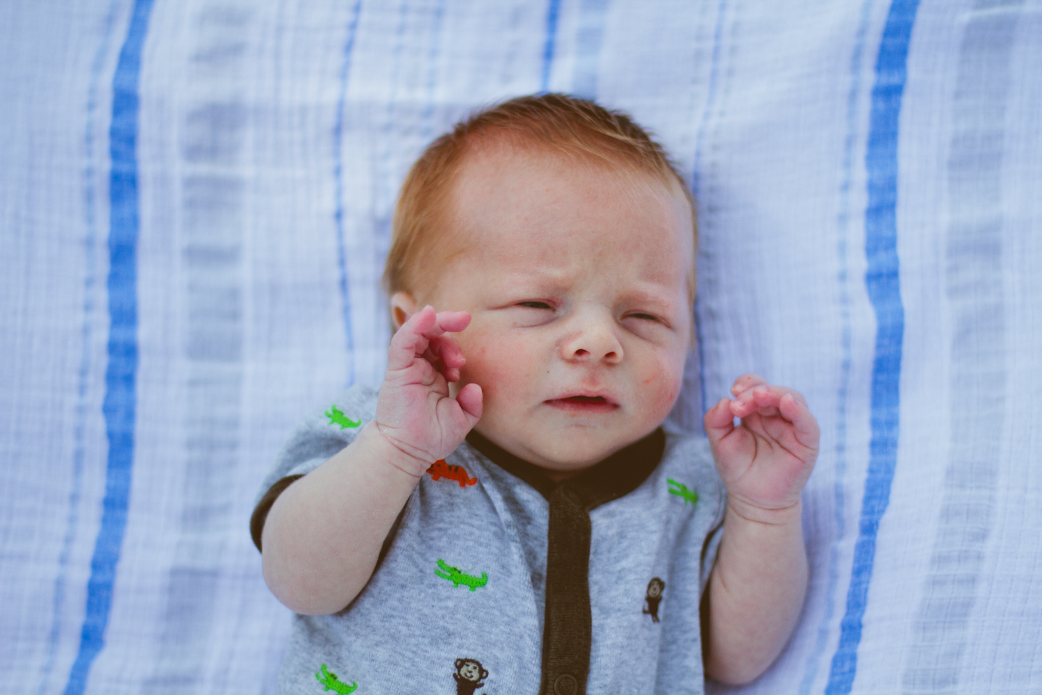  minneapolis newborn photographer 