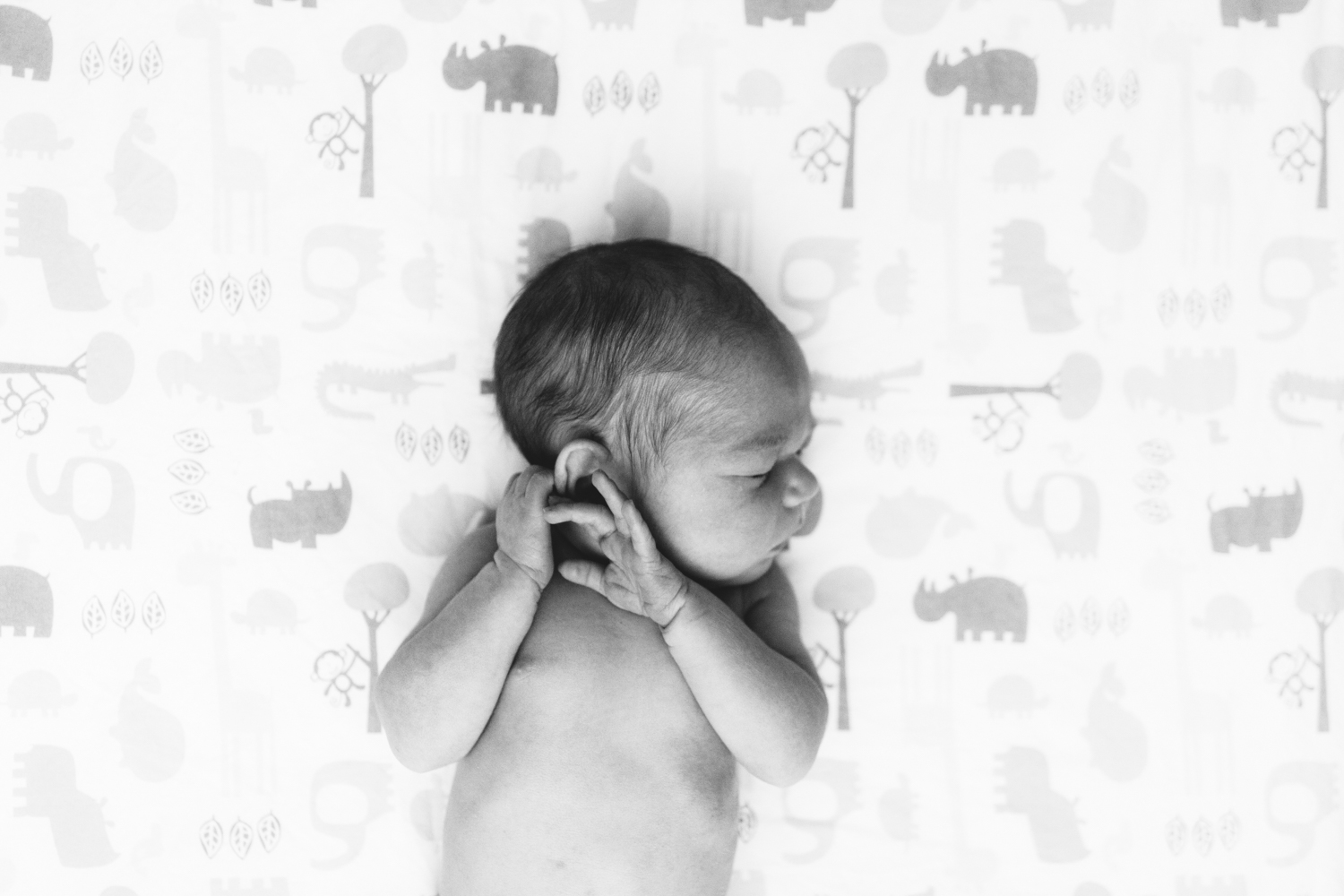 babies-122.jpg