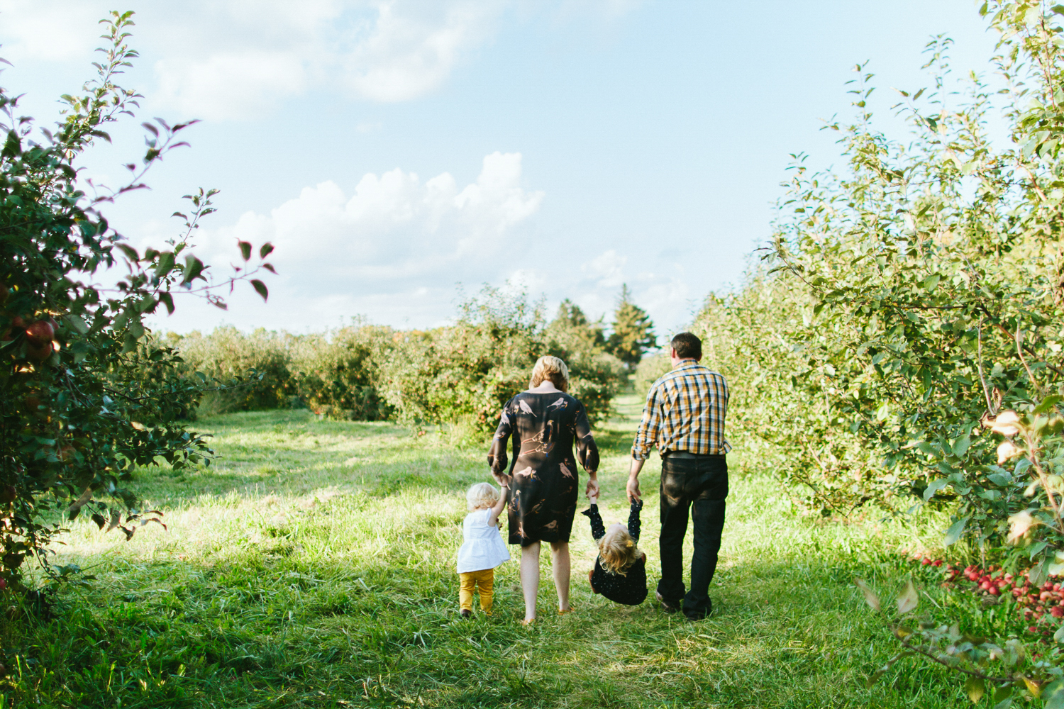 Family Photos at an Apple Orchard near Minneapolis, Minnesota