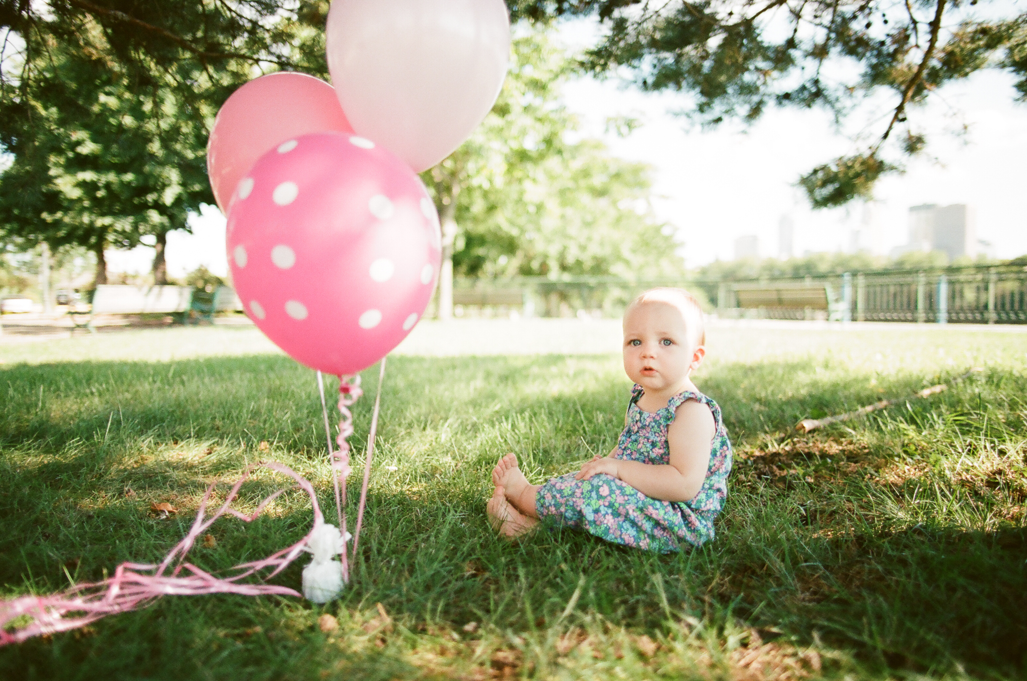 First Birthday Portrait Session