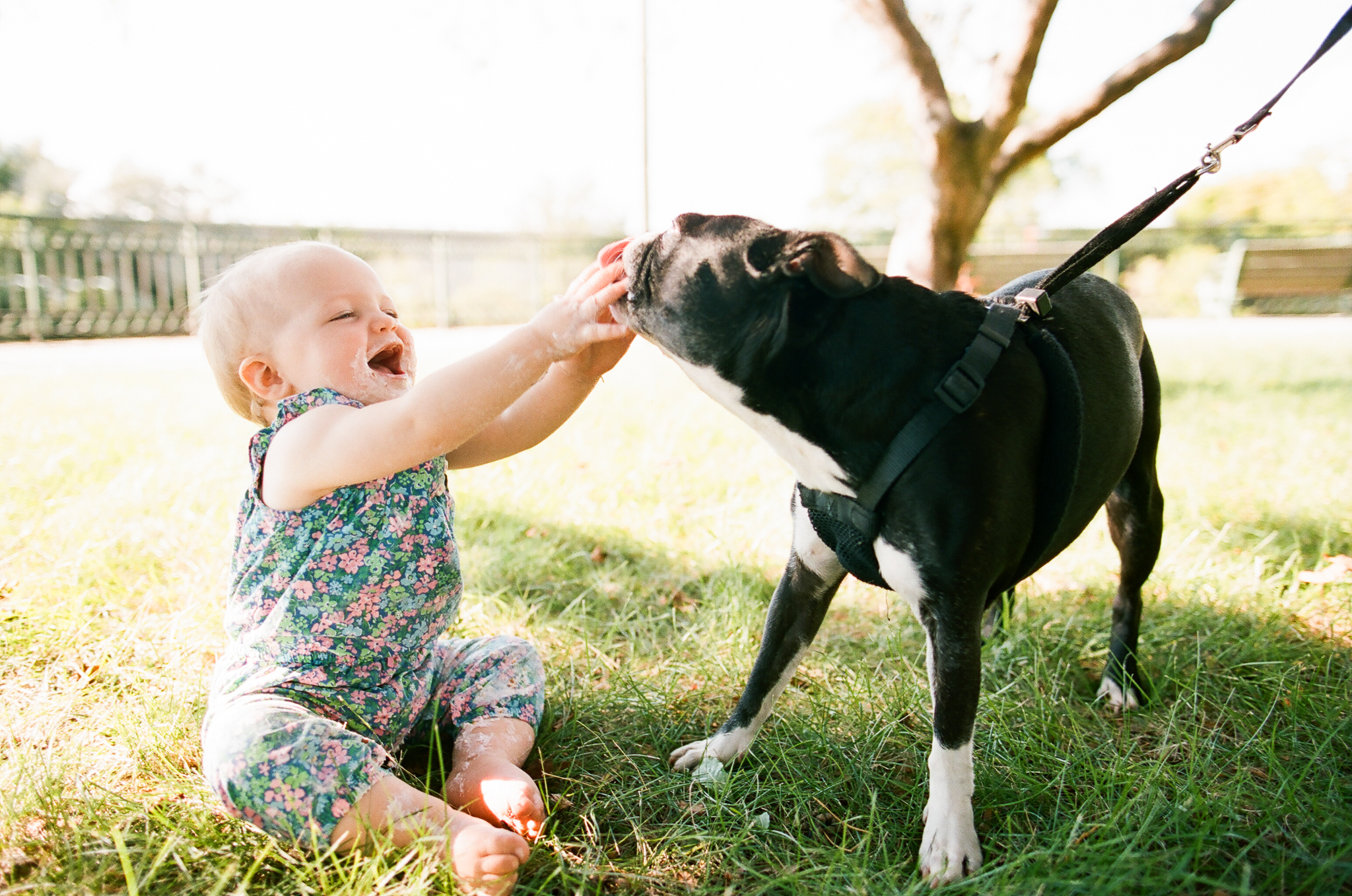 Minneapolis Kids and Pets Family Photographer