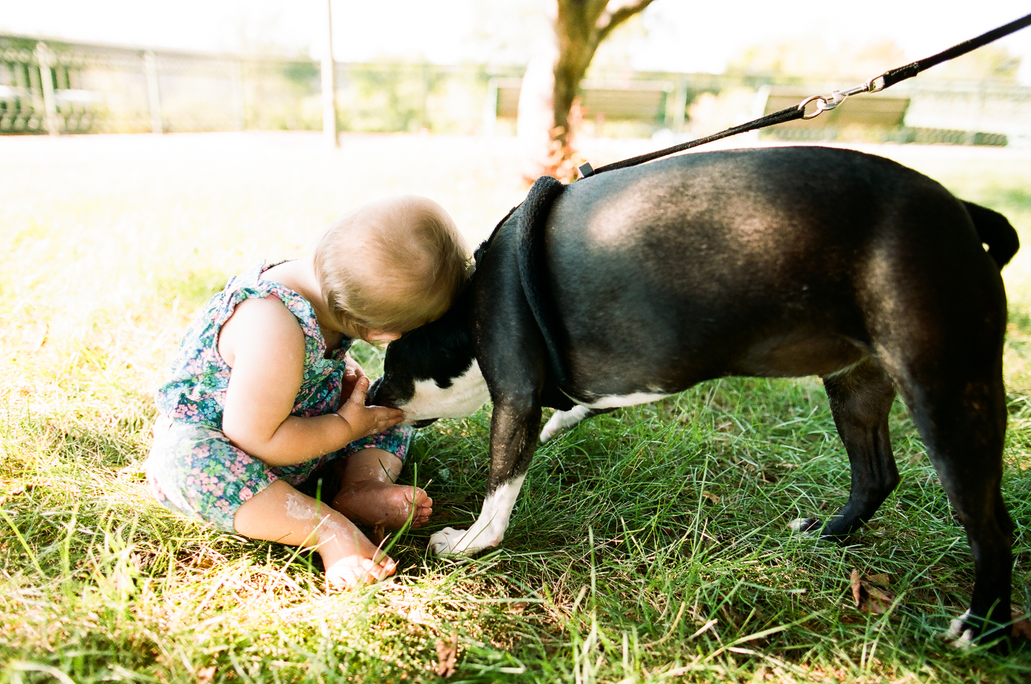 Minneapolis Kids and Pets Family Photographer