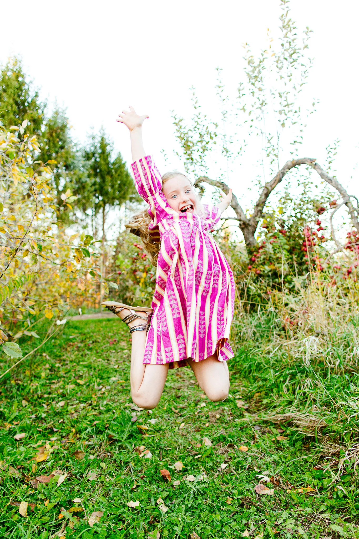 Fall Family Mini Sessions at an Apple Orchard in Afton, Minnesota