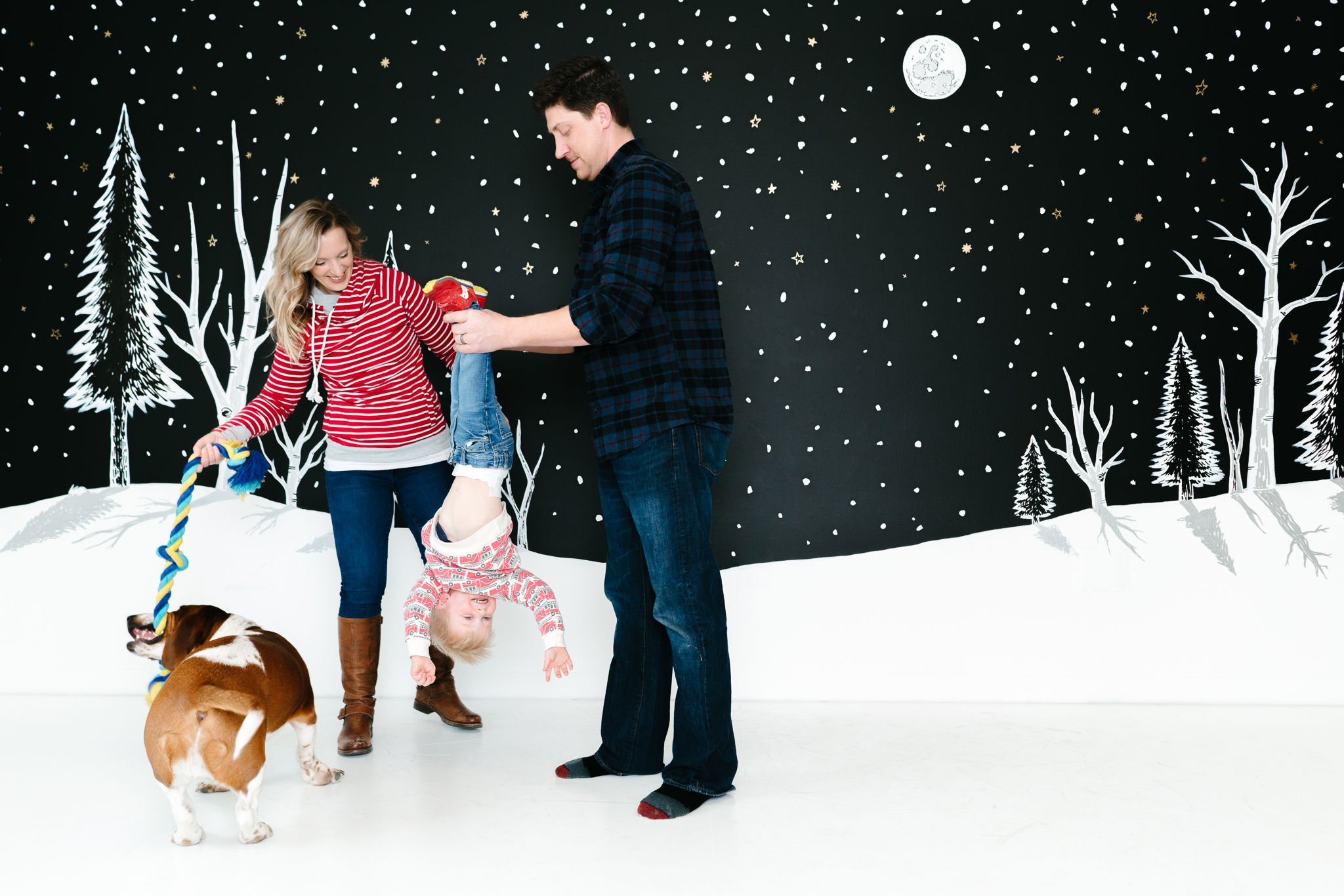 Minneapolis Modern Indoor Pet Photos