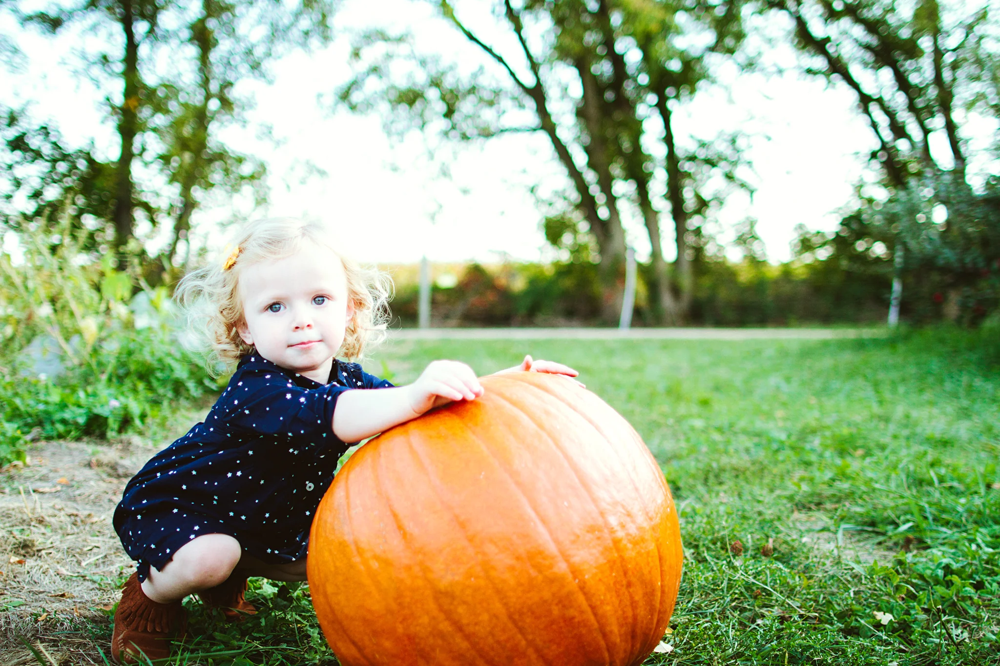 Minneapolis Pumpkin Patch Photos