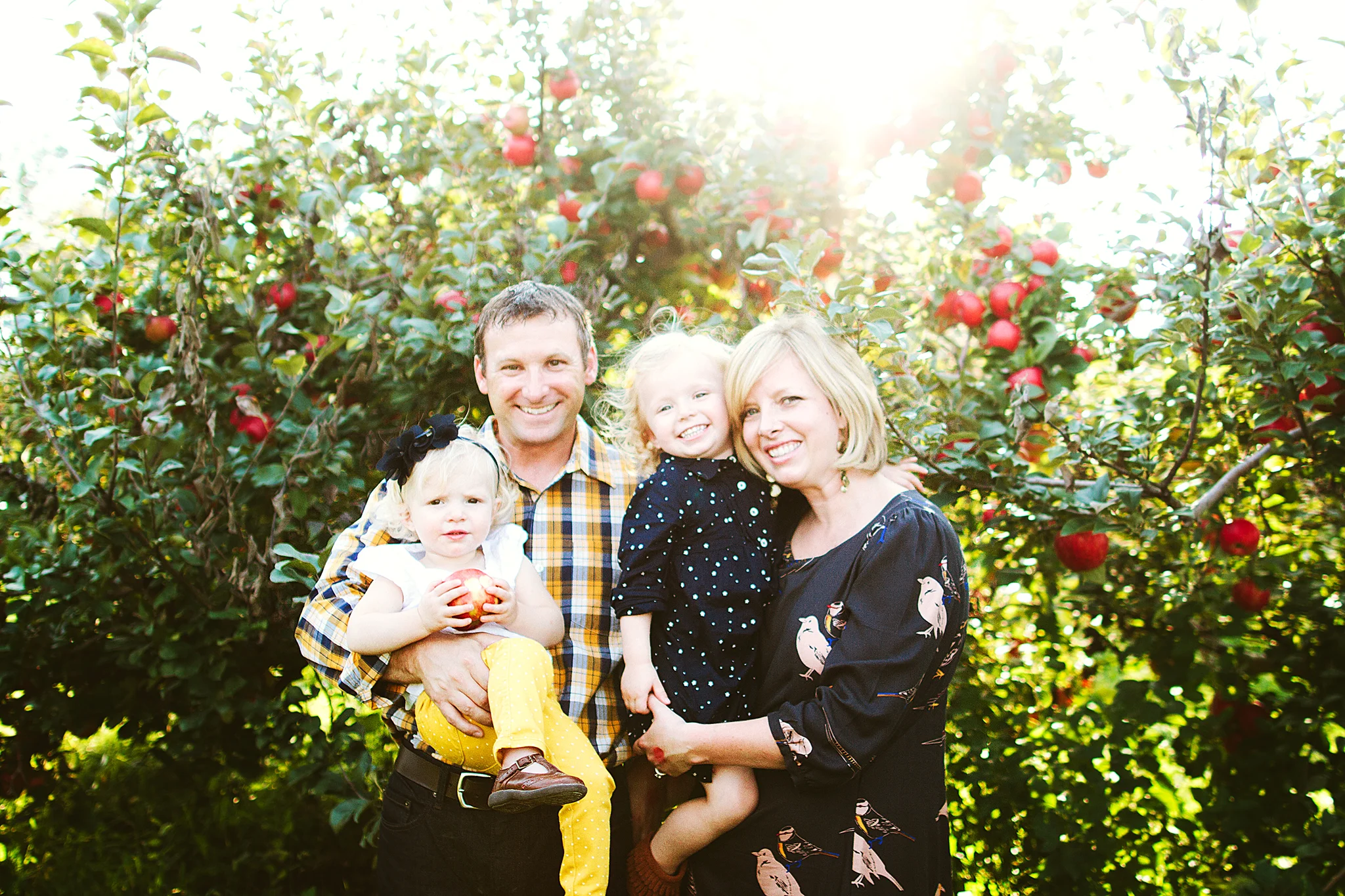 Best Apple Orchards near Minneapolis, Minnesota