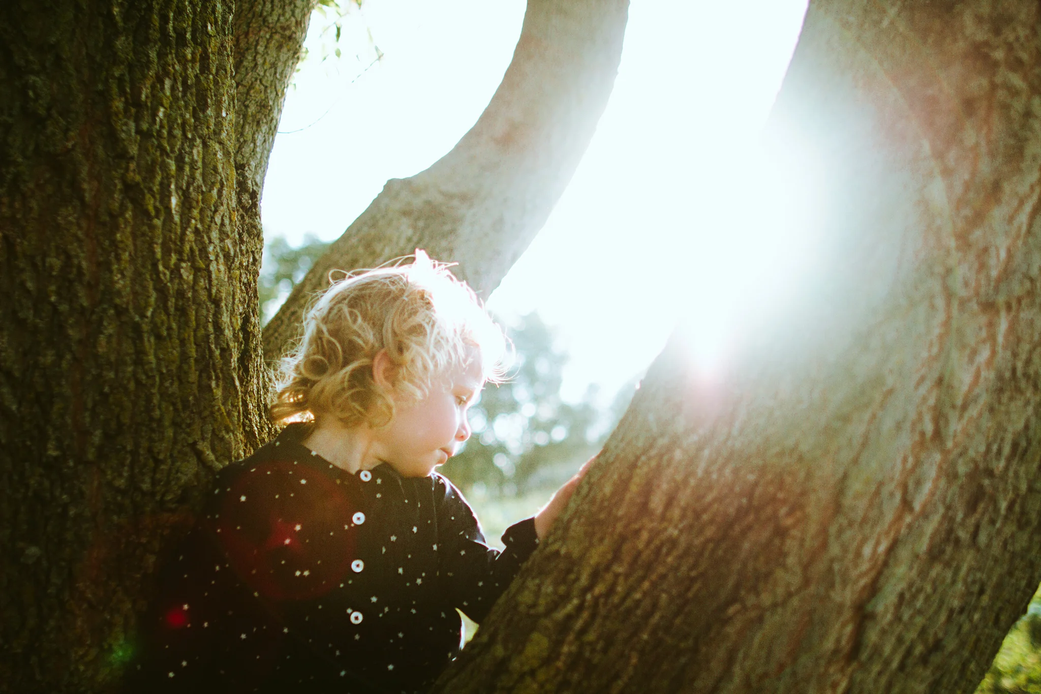 Fall Family Apple Orchard Mini Sessions in Minneapolis, Minnesota