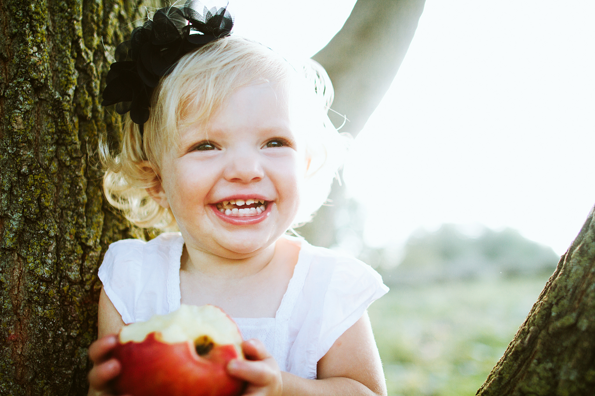 Fall Family Apple Orchard Photos in the Twin Cities, Minnesota