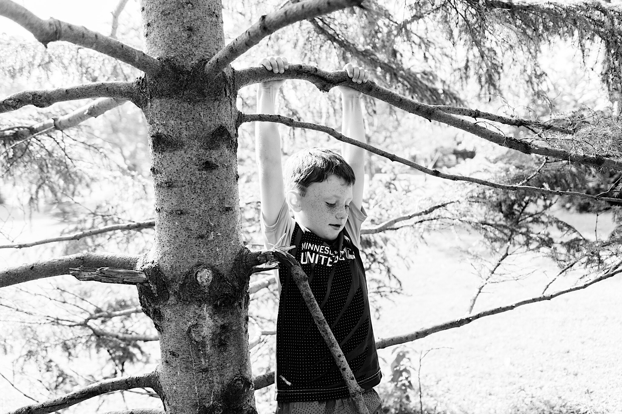A portrait of a child climbing a tree in Minneapolis