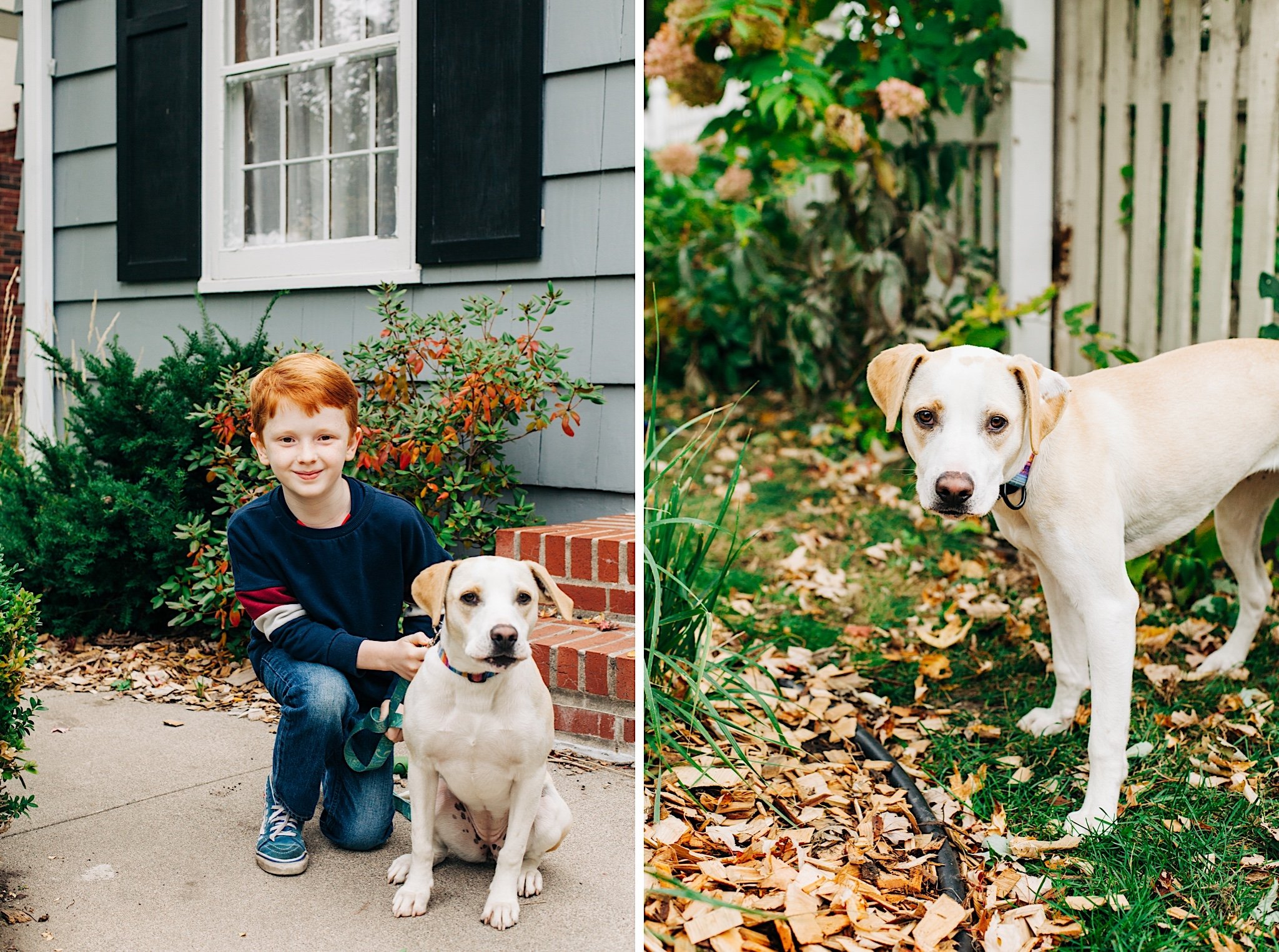 Minnesota Branding Photographers