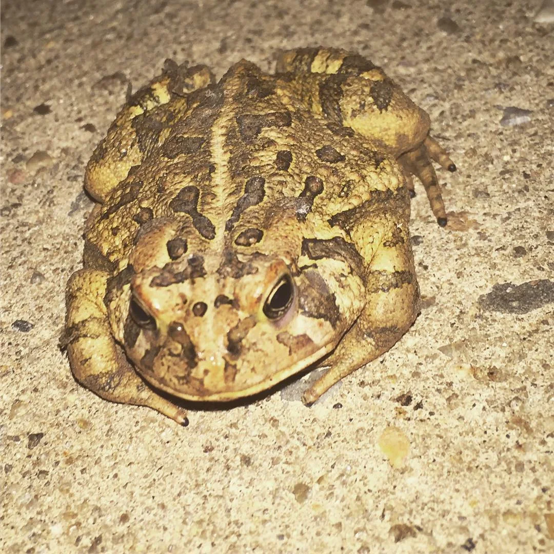 2016-09-13 22.38.20 1338827529343239247_30035929.jpg