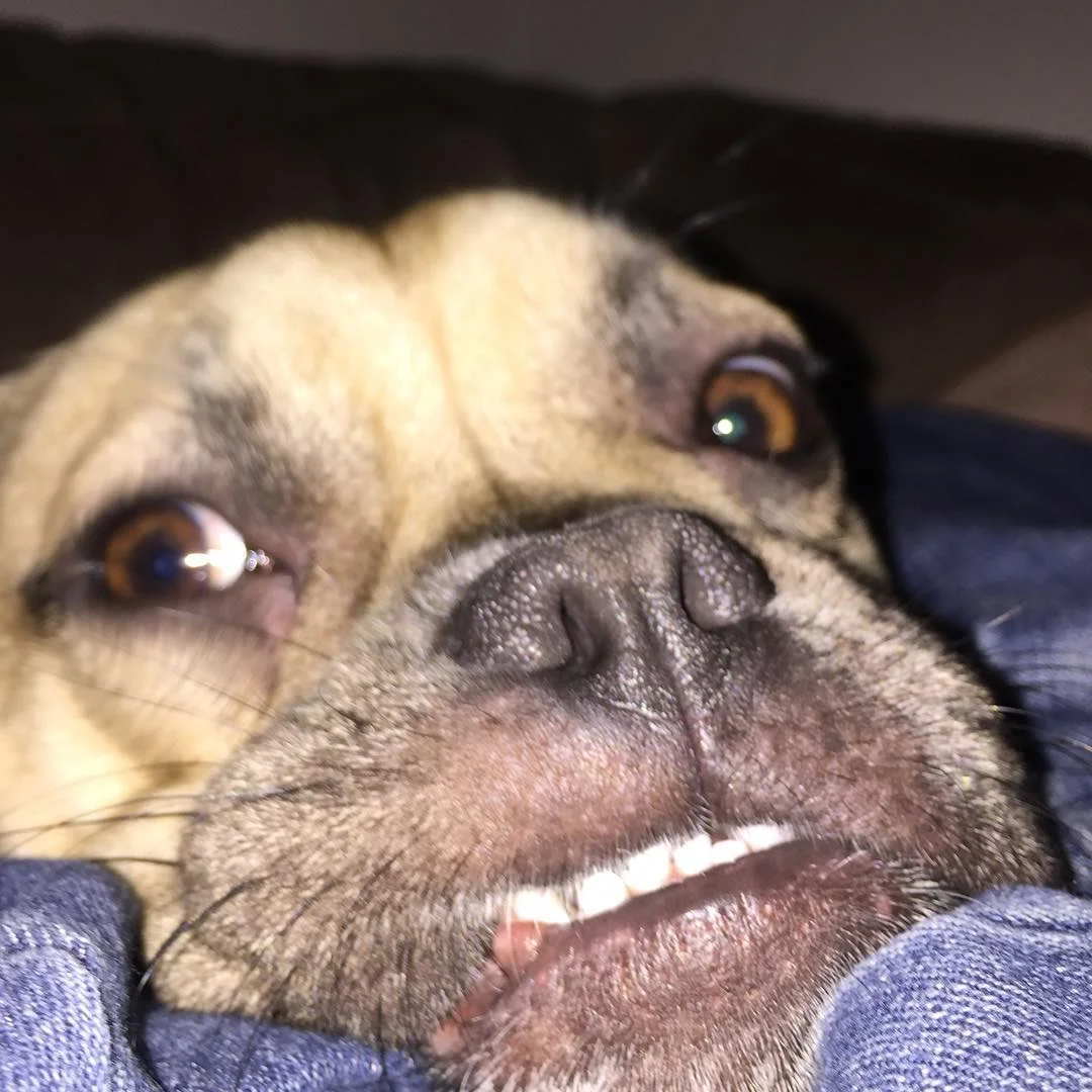 2016-10-31 18.28.06 1373490817016869881_30035929.jpg