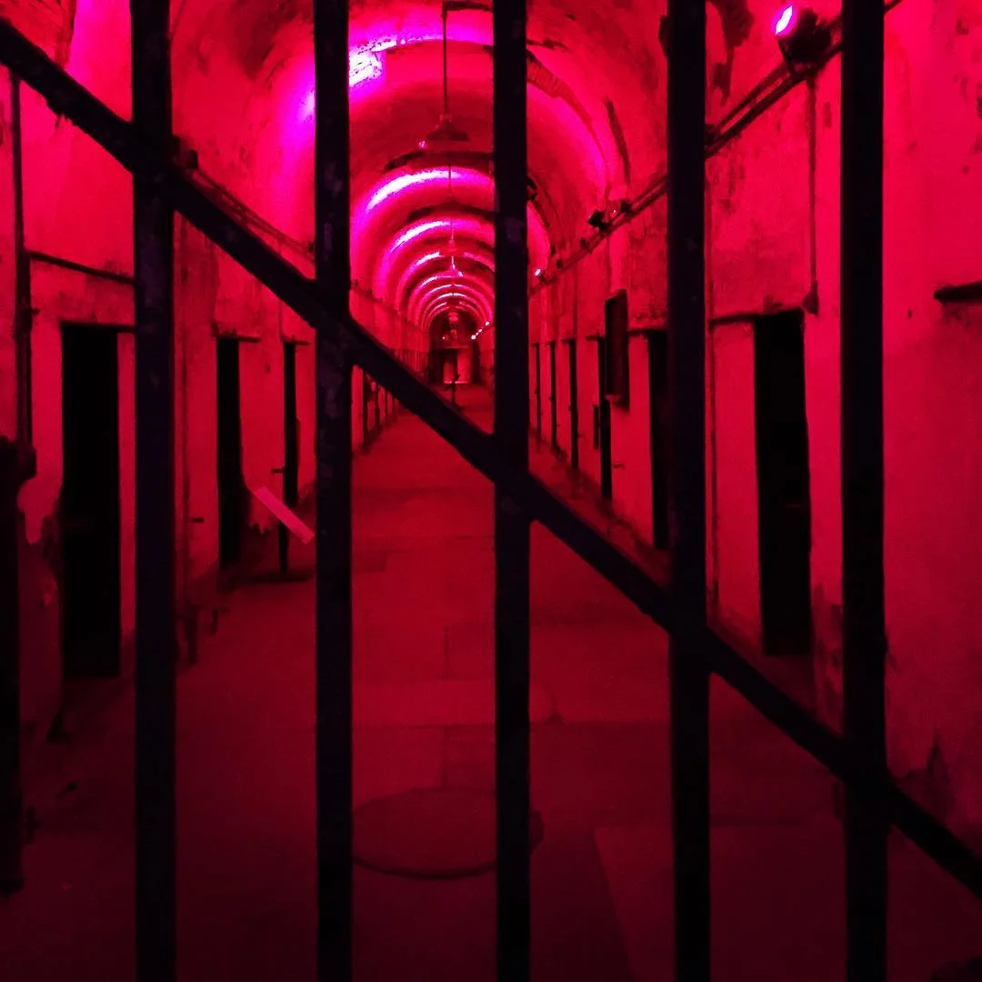 2016-11-01 08.22.06 1373910586031483551_30035929.jpg