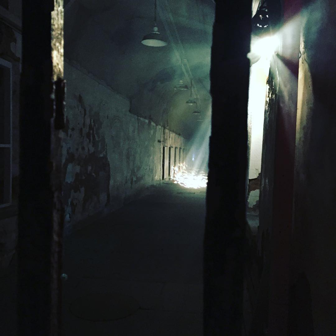 2016-11-01 08.23.10 1373911118489964257_30035929.jpg