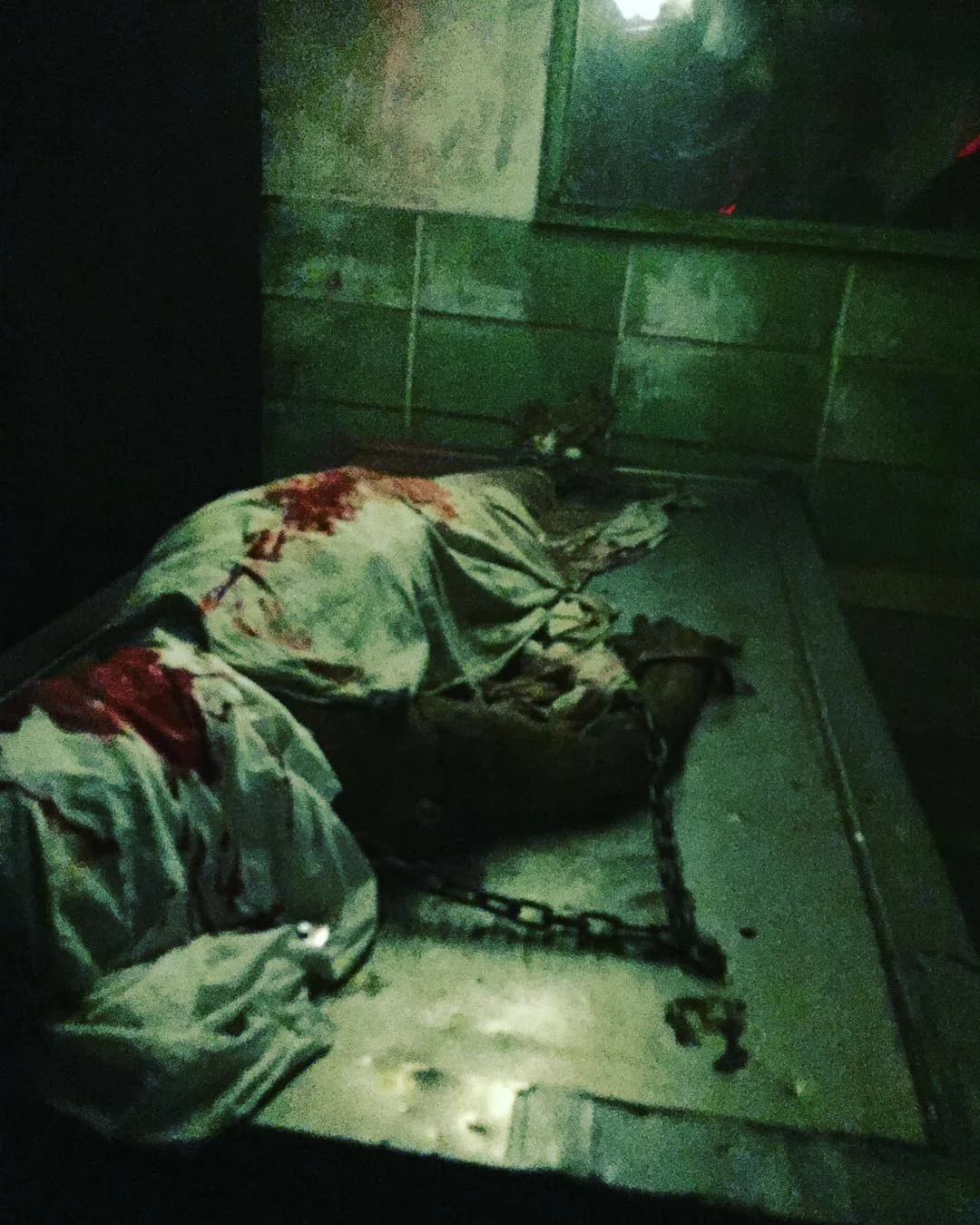 2016-11-01 08.23.32 1373911310186551324_30035929.jpg