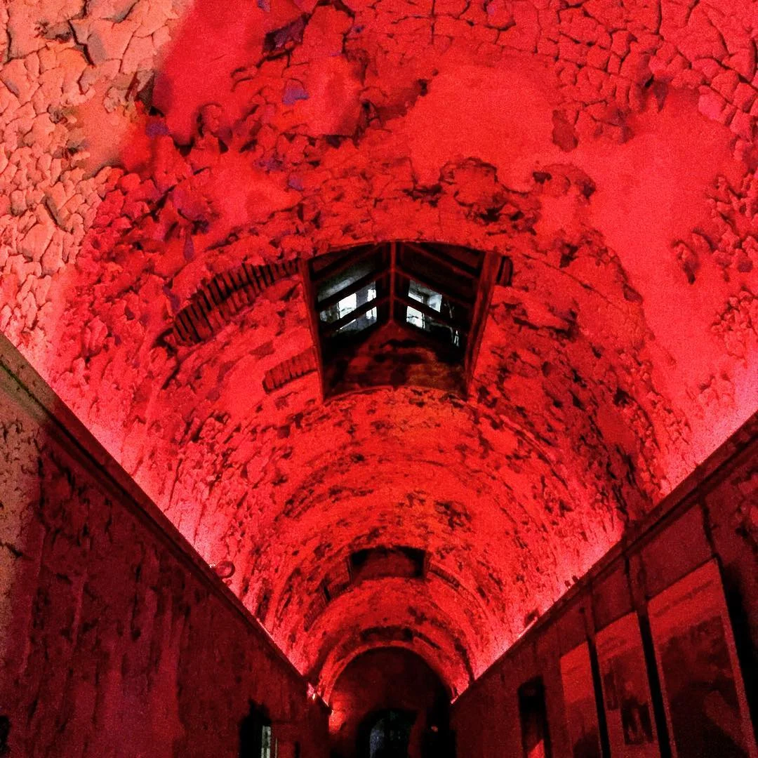 2016-11-01 08.25.30 1373912299505348718_30035929.jpg