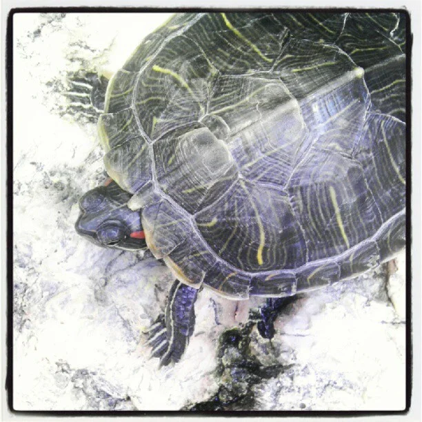 2012-09-29 15.45.45 291318943078845028_30035929.jpg