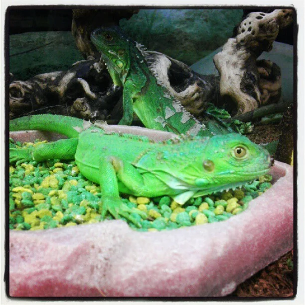 2012-09-29 15.46.21 291319240723434088_30035929.jpg