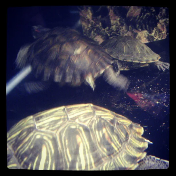 2012-09-29 15.49.16 291320710667602572_30035929.jpg