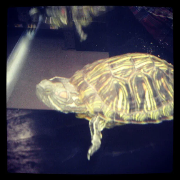 2012-09-29 15.49.46 291320961025608338_30035929.jpg