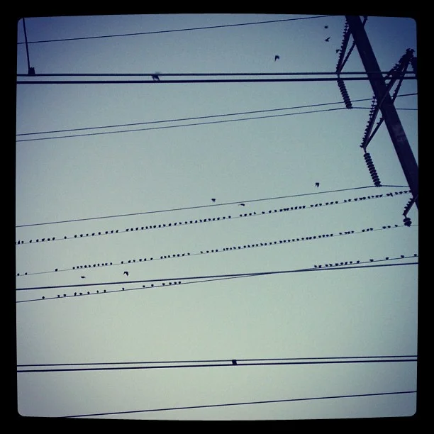 2012-11-29 23.59.48 335809117367995165_30035929.jpg