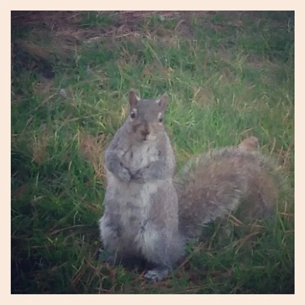 2012-12-18 16.53.06 349365093685693161_30035929.jpg