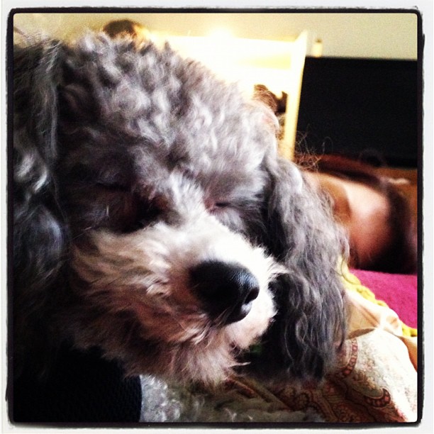 2012-12-20 22.32.46 350985609978743785_30035929.jpg