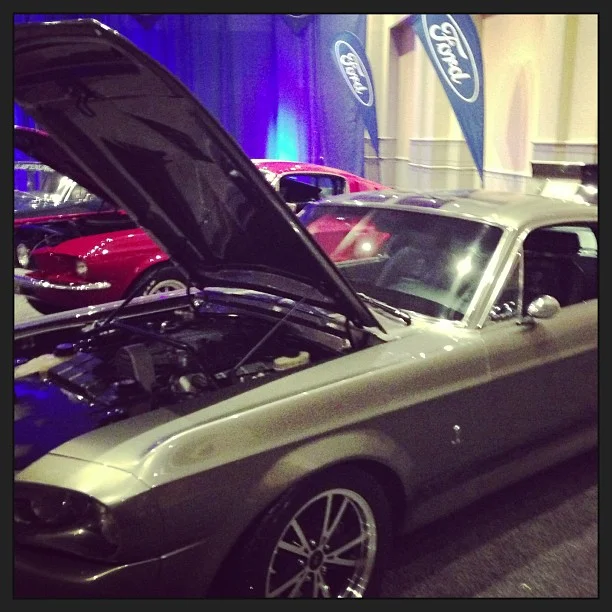 2013-01-21 16.53.37 374007732737313047_30035929.jpg