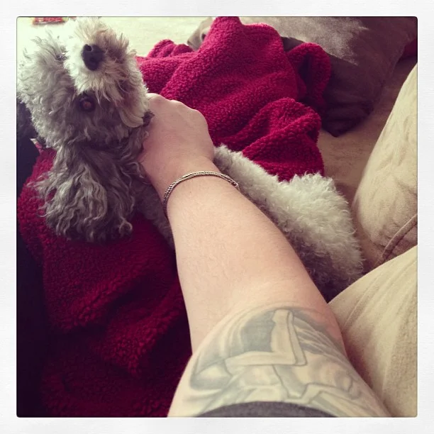 2013-01-26 15.26.30 377587763518539882_30035929.jpg