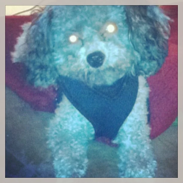 2013-02-08 20.30.34 387162890207922522_30035929.jpg