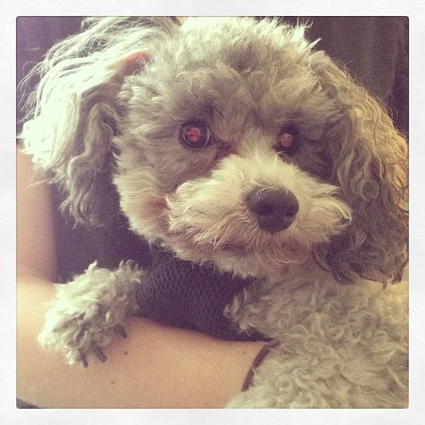 2013-02-24 15.31.37 398608835730639817_30035929.jpg