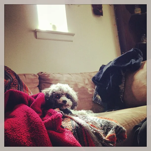 2013-03-11 12.43.45 409365779386895026_30035929.jpg