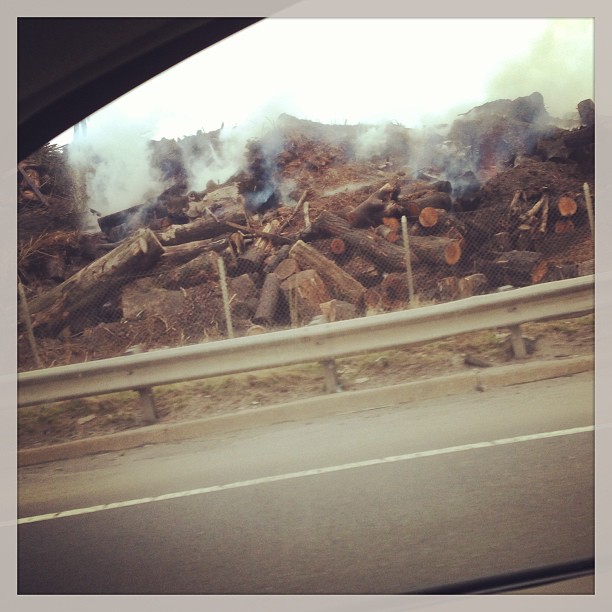 2013-03-11 23.05.38 409678785991837708_30035929.jpg