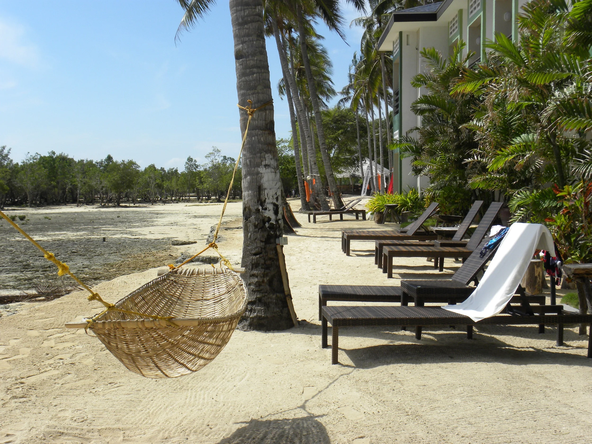 beach_sea_hammock.jpg