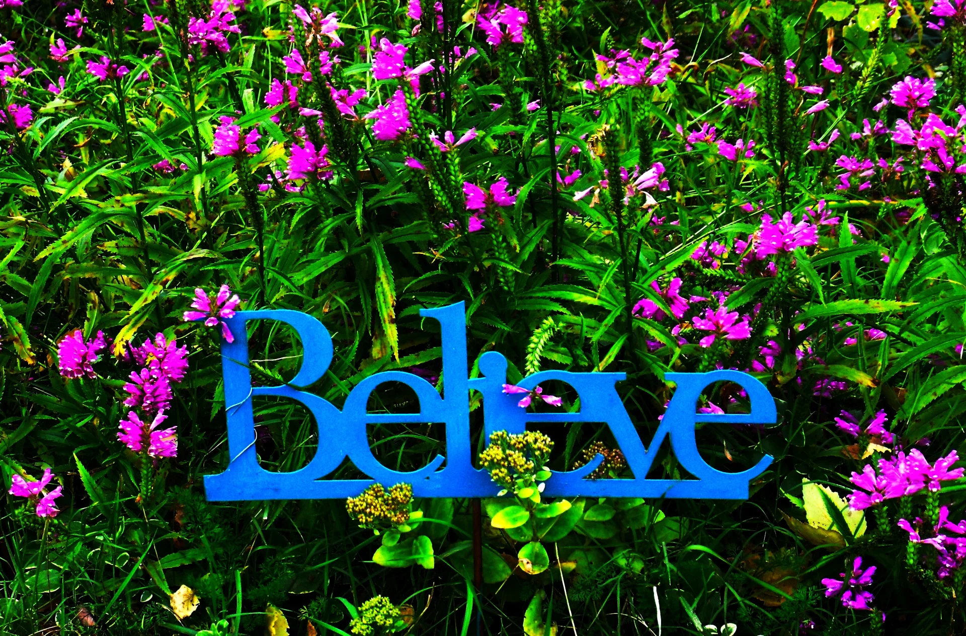Are Your Beliefs Holding You Back?