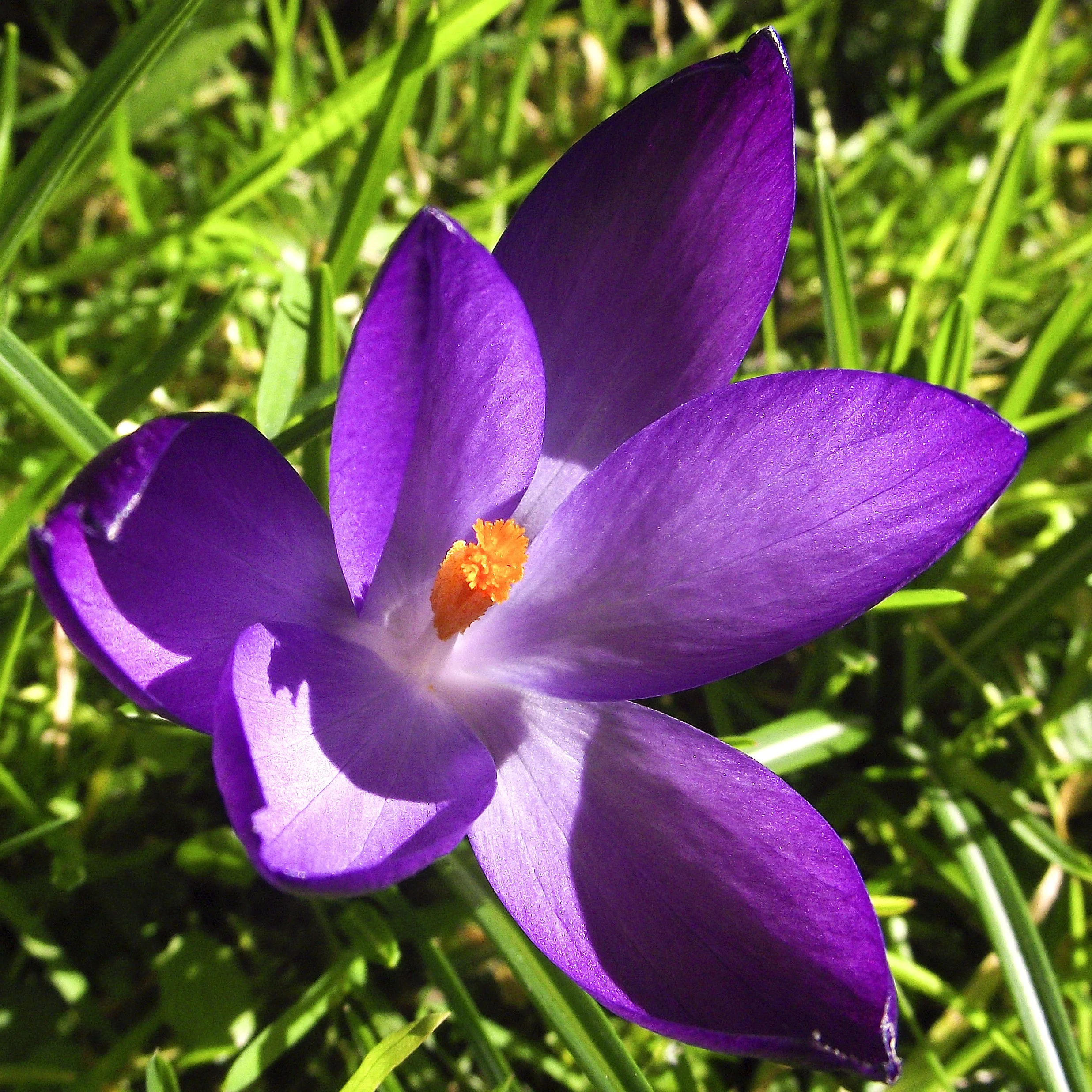 Awakening to Spring and New Beginnings