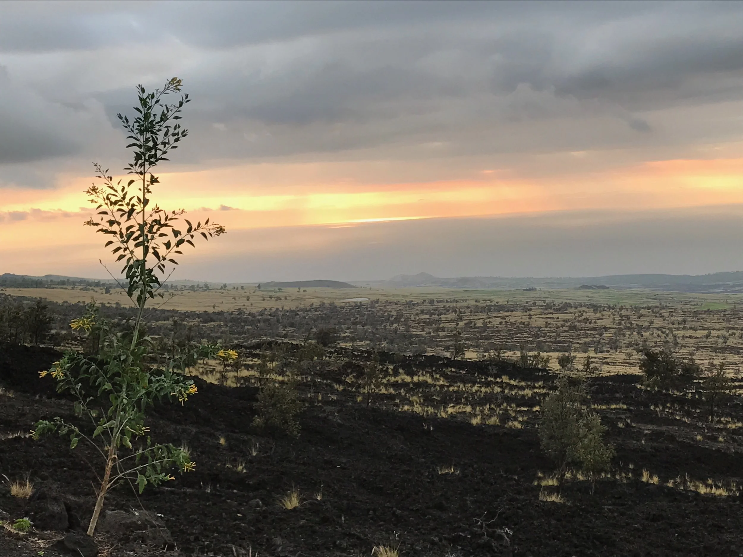 Feel More Deeply Connected: 3 Simple Ways