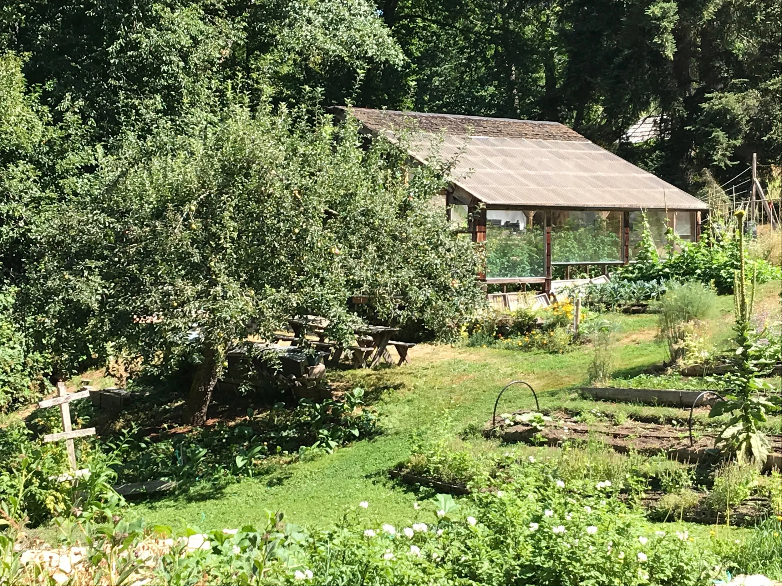 9 garden.jpg