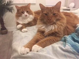Eric and Alex.JPG