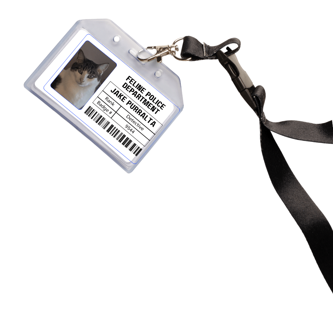 From the Desk of Detective Jake Purralta