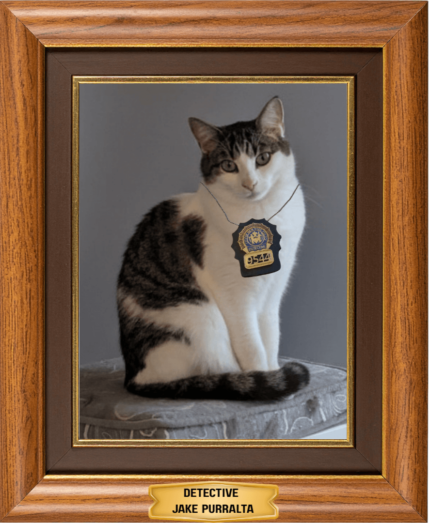 a framed picture of a short haired white and tabby cat with a police badge around his neck and a plaque saying Detective Jake Purralta at the bottom