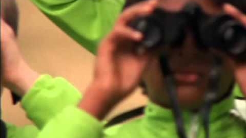 CBBC - Twitchers