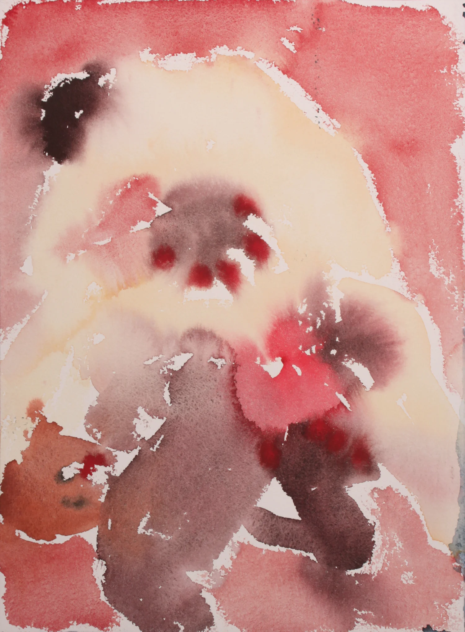 I Hold the Lion's Paw Whenever I Dance, 2013.