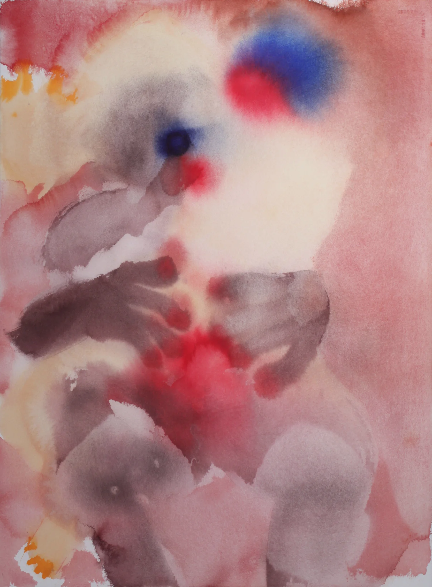 Conception, 2013.