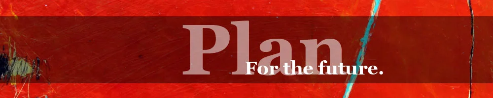 Plan Banner.jpg