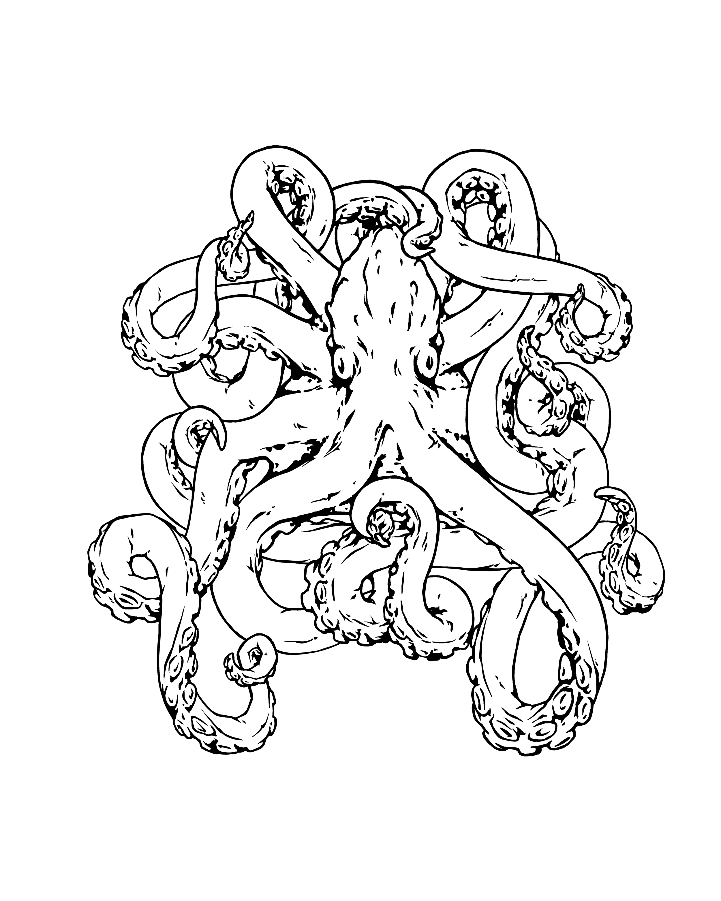  Jun 8 2020 - Procreate - Design commission of a PNW octopus.  