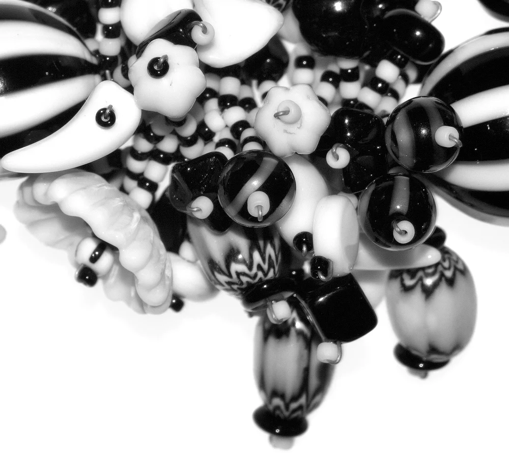 Black & White Crop 8x8 NSS.JPG