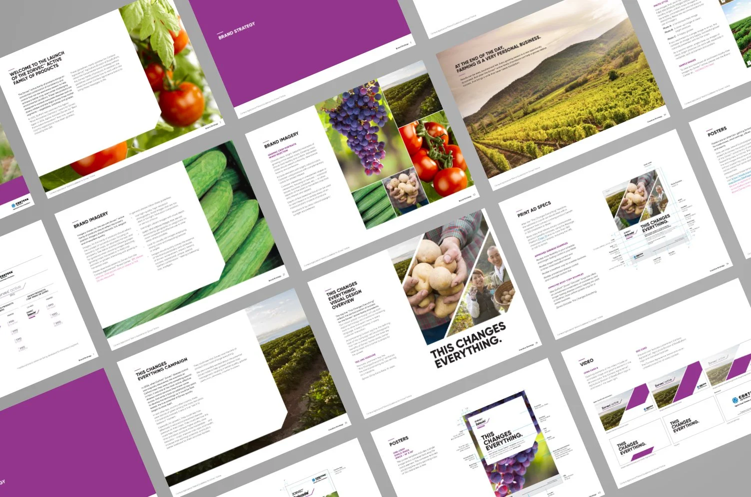 Corteva_Zorvec_BrandGuidelines copy.jpg